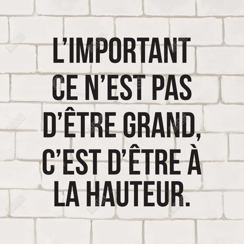 " L'important Ce N'est Pas D'être Grand... "