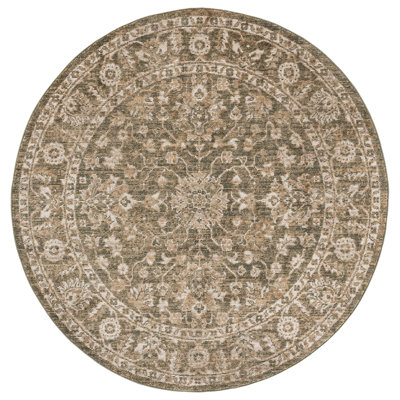 Hazel 510 Performance Oriental Rug