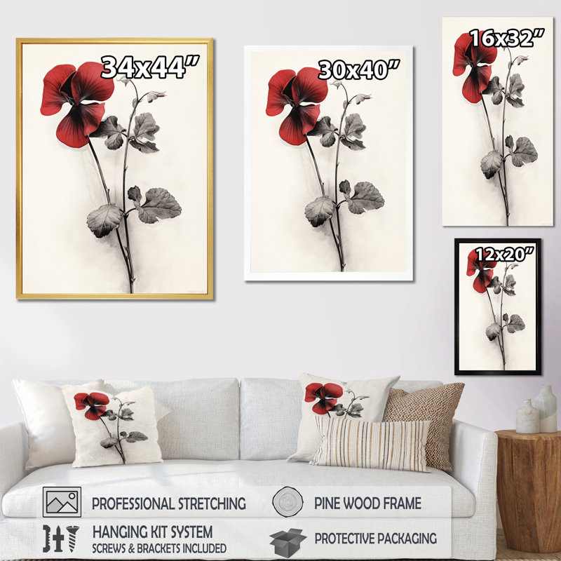 " Red Violets Dreamer II ", 44" H x 34" W x 1.5" D, Black Picture Framed