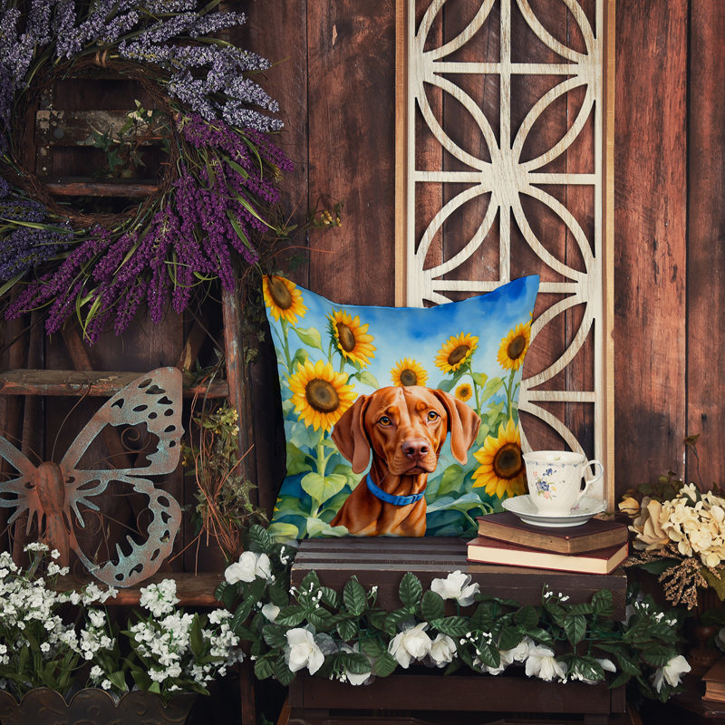 Outdoor Throw Pillow, 14" H x 14" W