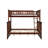  Flinn Solid Wood Bunk Bed-858552878-858552872