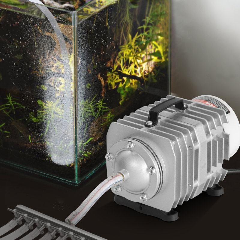 Rogene Plug-in Pump