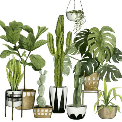 Plant Haven I by Grace Popp - Wrapped Canvas Painting