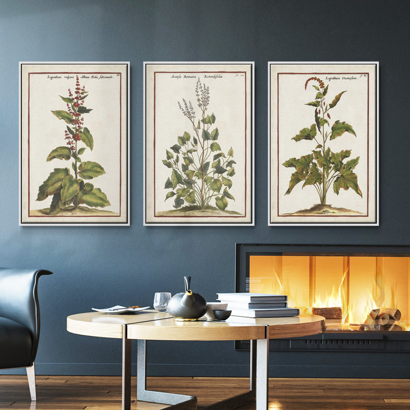 «Munting Botanicals IV», ensemble de 3 toiles encadrées, Blanc, H 36 po x l 72 po