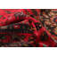 Tapis rouge Teimani 3 pi 9 po x 6 pi 5 po