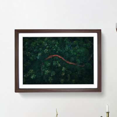 Path Through a Forest in Ko Samui Thailand - Framed Print