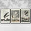 Pl 251 Pelican brun - ensemble de 3 cadres flottants sur toile-97710265-97710266
