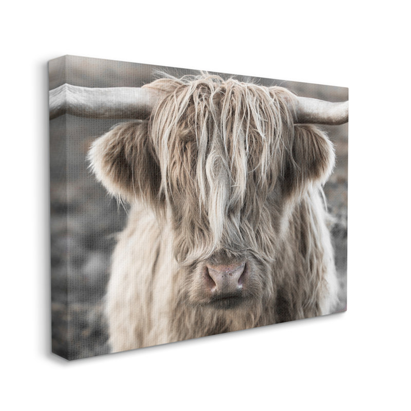 Highlands Cattle Rural Farm Animal Canvas Print, 30" x 24"
