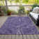Paisley Indoor / Outdoor Rug