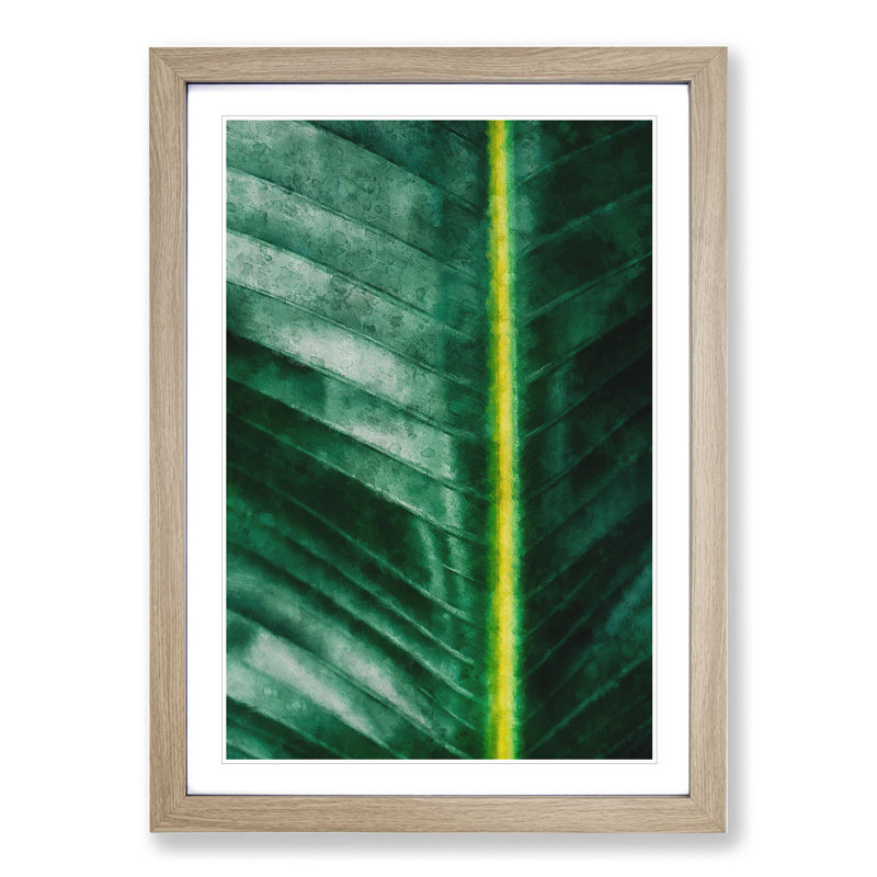Green Leaf Line - Framed Print, 48cm H x 36cm W x 2cm D, Oak Framed