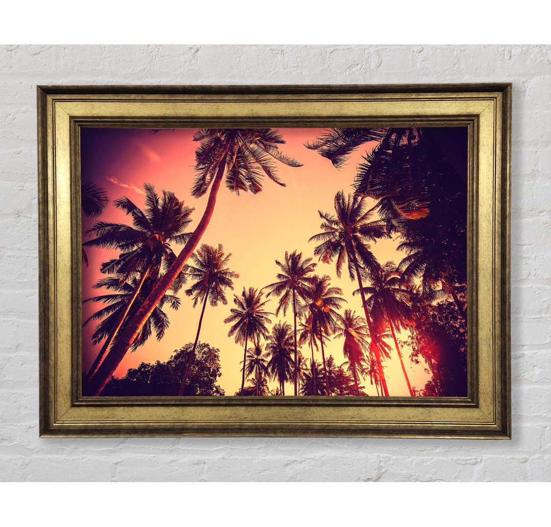 Just Palm Trees - Bilderrahmen Kunstdrucke