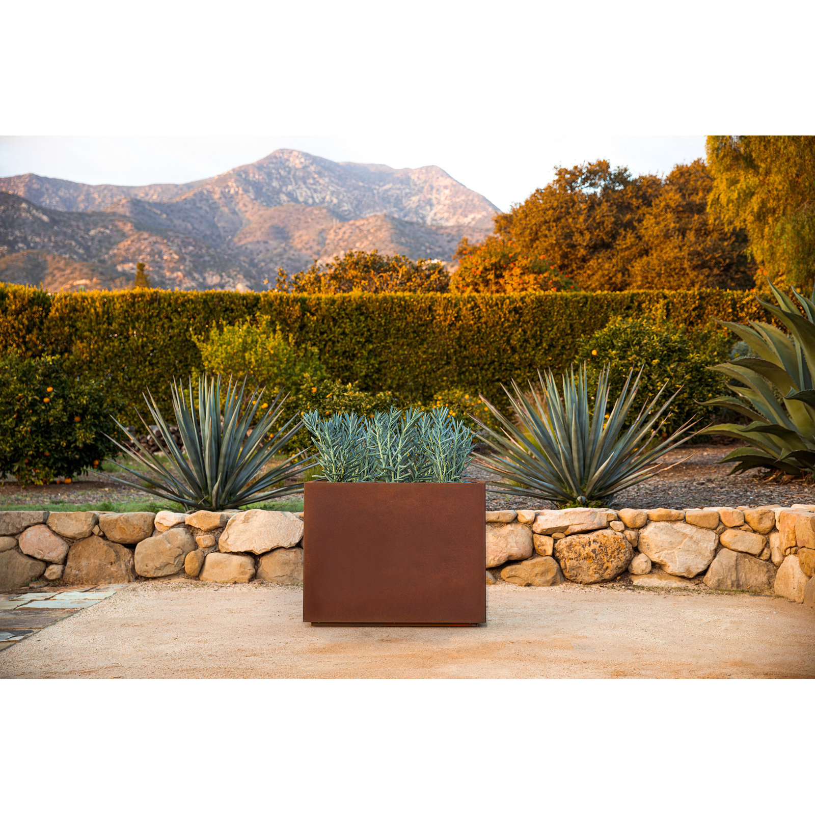 Corten Steel Series Span Planter, 24" H x 30" W x 12" D