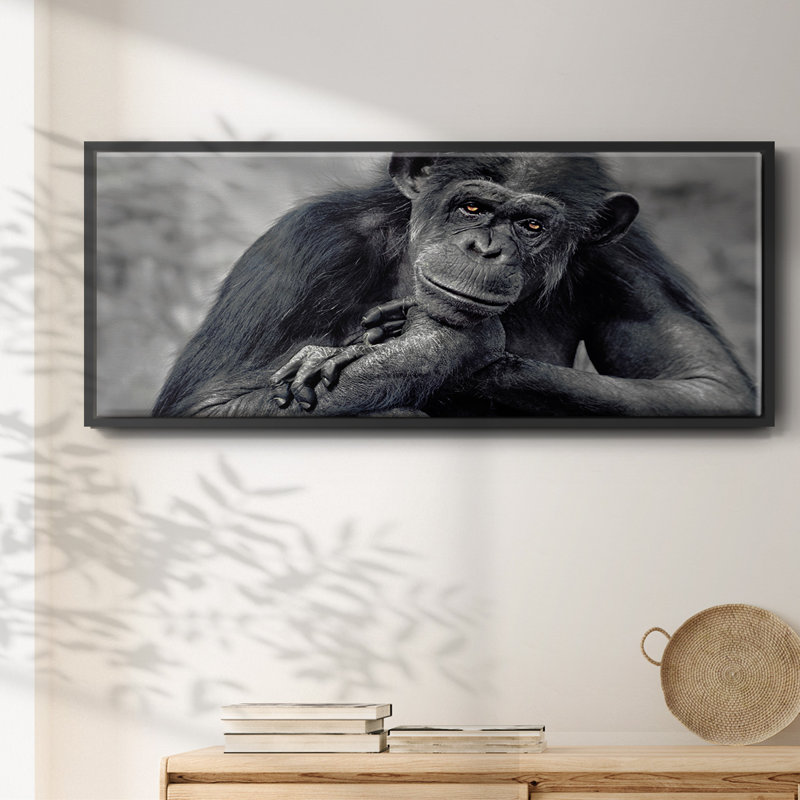 Captivated- Framed Canvas, 8" H x 20" W