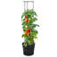 Avellana Pot Planter-1050697511