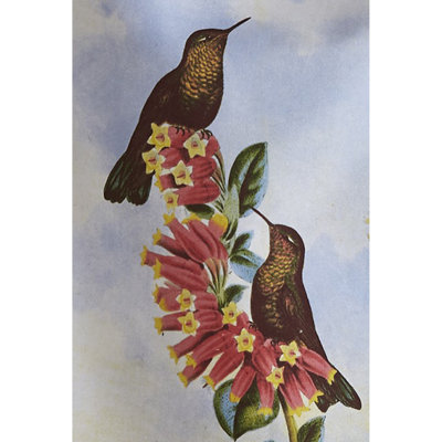 Hummingbird Red Flower Dishtowel