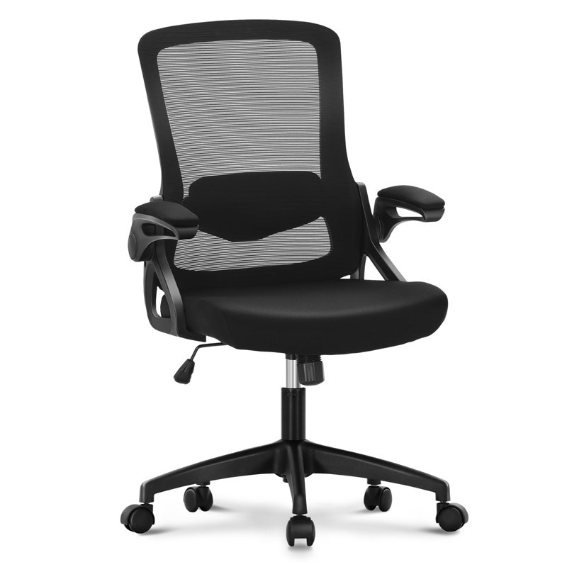 Harvin Ergonomic Mesh Office Chair with Adjustable Lumbar & Flip-Up Armrests, No, Black