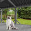 Perchoir pour chat pour grands chats d'intérieur