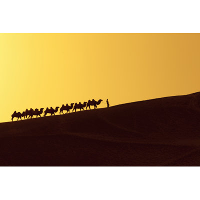 Silk Road 1 Piece Wrapped Canvas Wall Art