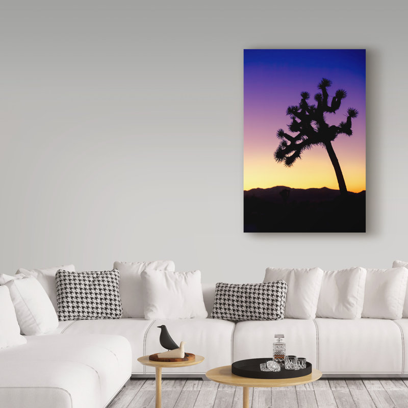 « joshua tree i », reproduction de photo sur toile tendue, H 24 po x l 16 po x P 2 po