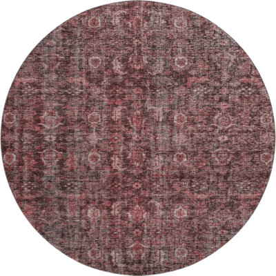 Premium Machine Washable Ducote AMF1145 Damask Rug