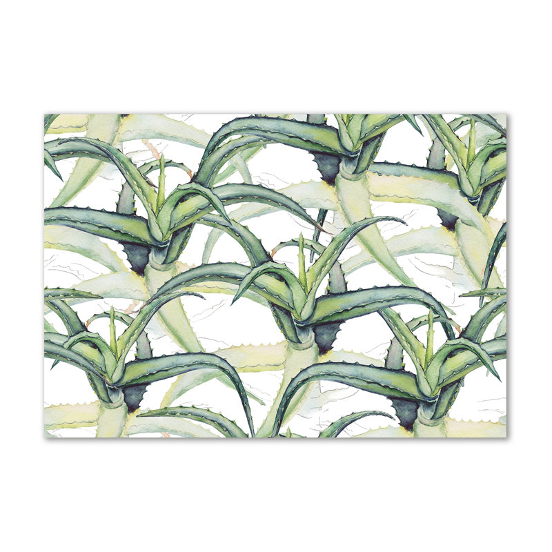 Aloe - Wrapped Canvas Print