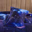 Reactive 3D Print Comforter Set-1392238316