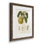 Vintage Pears I - ensemble de 4 reproductions de cadres photo-1895322398-1895322388