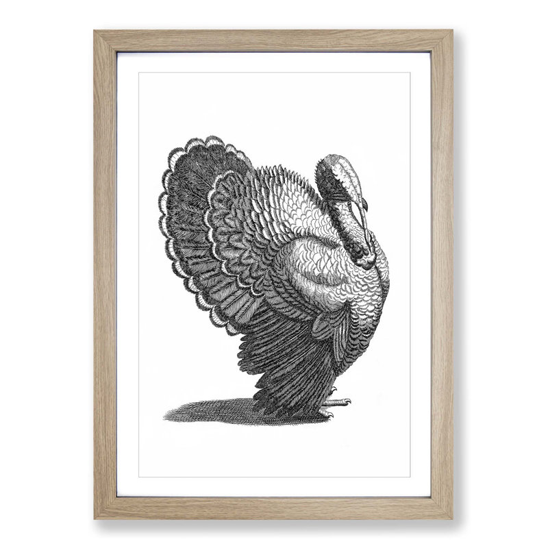 Turkey in Black & White by Johan Teyler - Picture Frame Drawing Print, 65cm H x 48cm W x 2cm D, Oak Framed