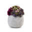 Bailey Sedum Artificial Plant