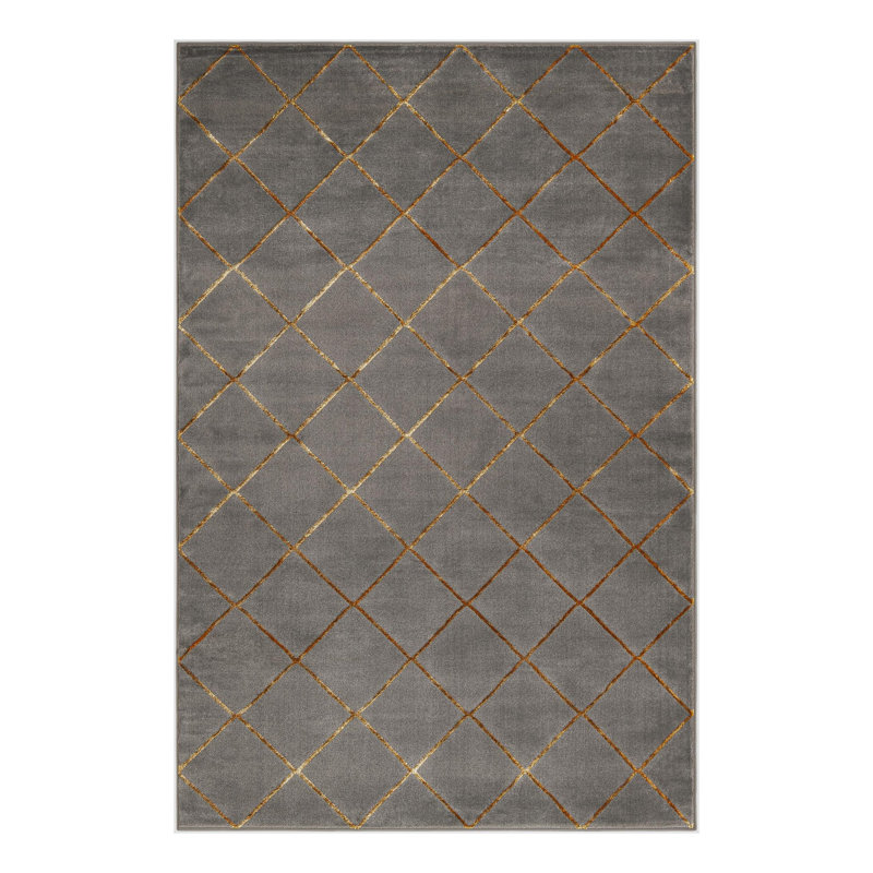 Tapis à carreaux gris et or Latitude Run® Novica, Rectangle 6 pi 1 po x 9 pi