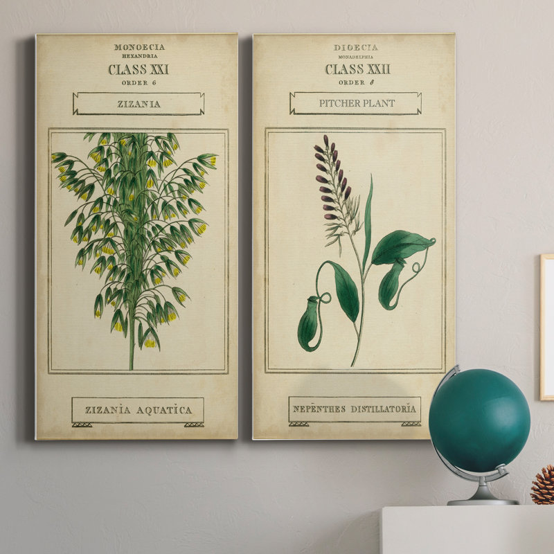Linnaean Botany I - ensemble de 2 peintures sur toile tendue, H 16 po x l 16 po x P 1 po