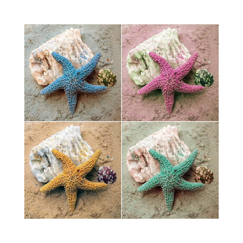 Colorful Starfish by Kathy Mansfield - Gallery-Wrapped Canvas Giclée on Canvas, Wrapped Canvas, 30.48 cm H x 30.48 cm W