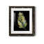 Frond - reproduction de cadre photo sur papier-424094218-424094335