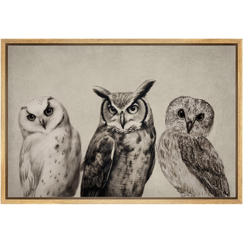 Oiseau, oiseau, bicolore, hibou, H 16 po x l 24 po x P 1,5 po, Naturel