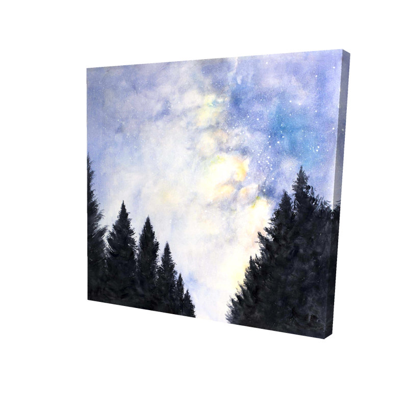 Ciel étoilé sur toile | Décoration murale de chambre à coucher
