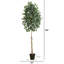 9 pi Ficus artificiel