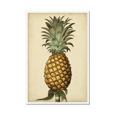 Brookshaw Antique Pineapple I 1 Piece Painting
