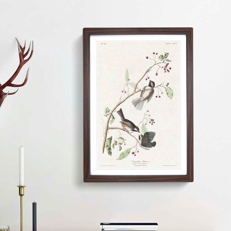 Canadian Titmouse Birds by John Audubon - Picture Frame Painting Print, 48cm H x 36cm W x 2cm D, Walnut Framed