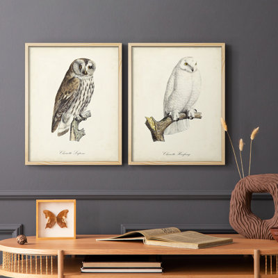 French Owls III - reproduction encadrée de qualité supérieure - prête à être accrochée - aucun clou requis - aucun clou requis