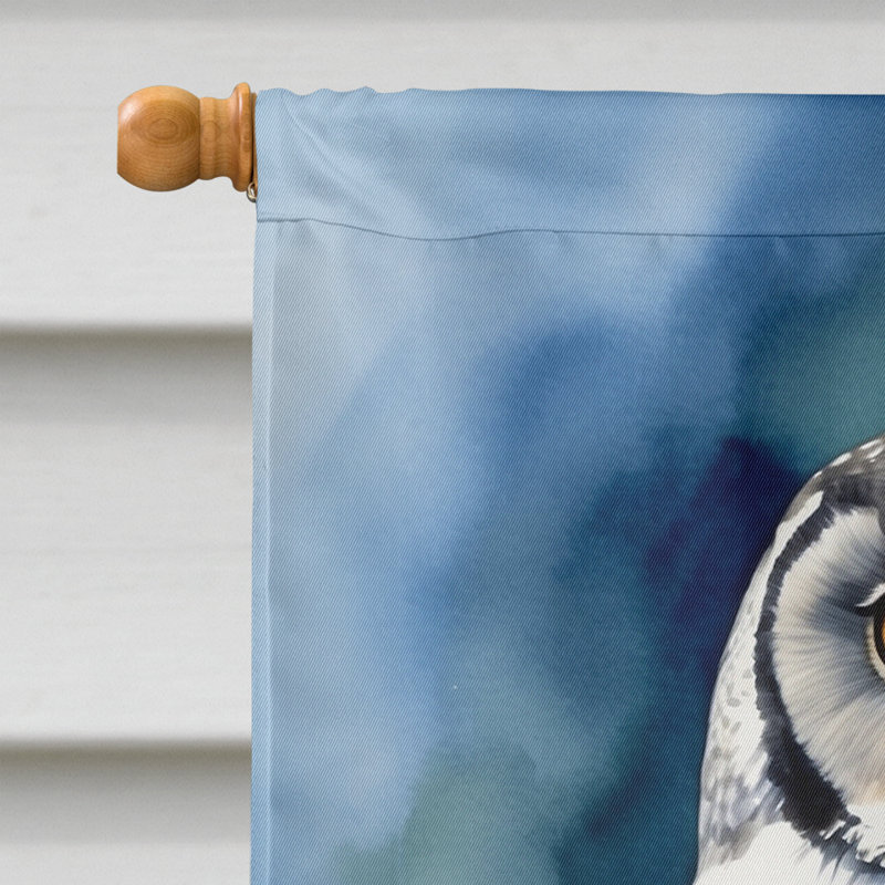 House Flag, Northern Hawk Owl