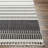 Gigi Striped Machine Woven Polyester Area Rug in Black-1676372054