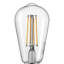 Ampoule à DEL 8 W (équivalente à 60 W) blanc chaud (2 700 K) à intensité variable ST19, base E26-121640254-121640256