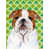 Bouledogue (brun et blanc)