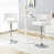 White Seat/Sliver Frame selected