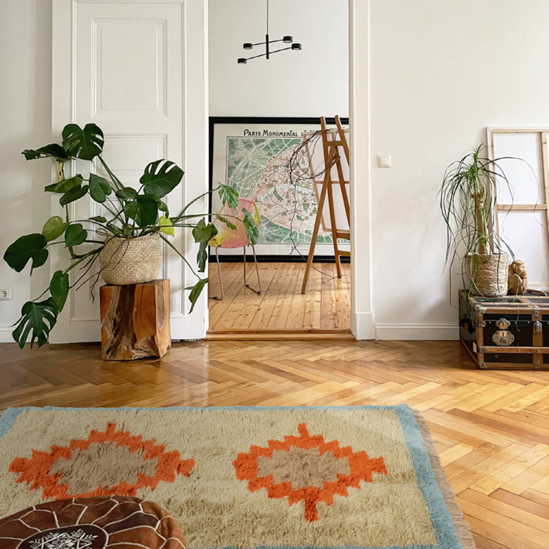 Rojda Hand-knotted Shag Wool Rug, Rectangle 4' x 6'