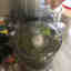 Photos des clients 3 de 5