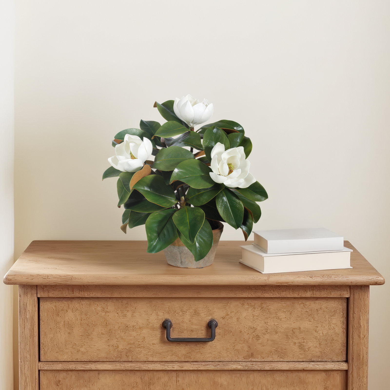 Garden Magnolia Floral Arrangement in Planter, 17" H x 18" W x 18" D