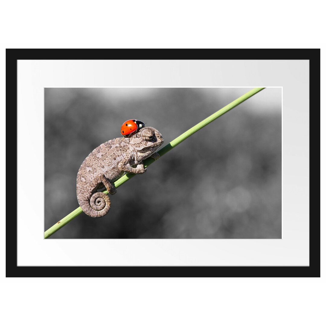 Gerahmtes Poster Süßer Gecko mit einem Marienkäfer