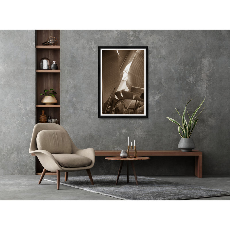 Curled Palm I Print by Tim Klein