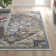 Hodder Oriental Indoor Rug